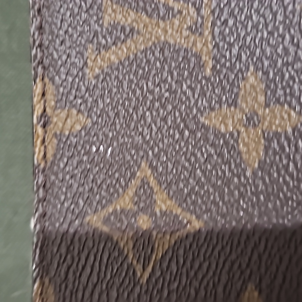 Louis Vuitton Felicie Strap and Go - Picture 11 of 13